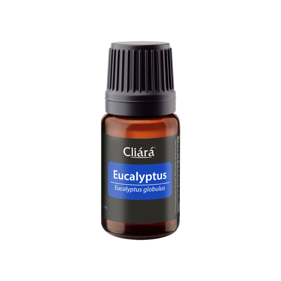 Eucalyptus Essential Oil